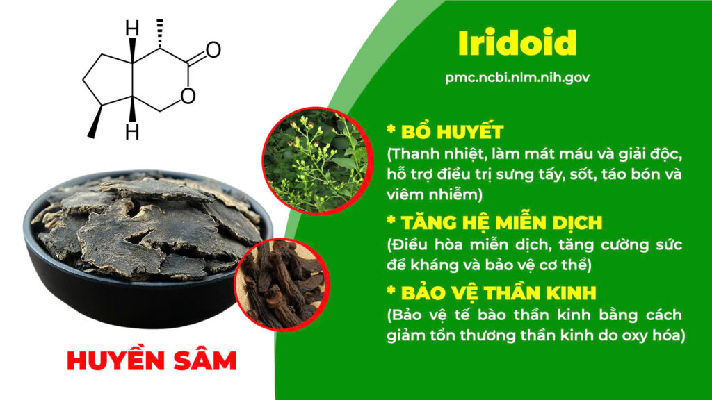 Thành phần hoá học nhuận trường 