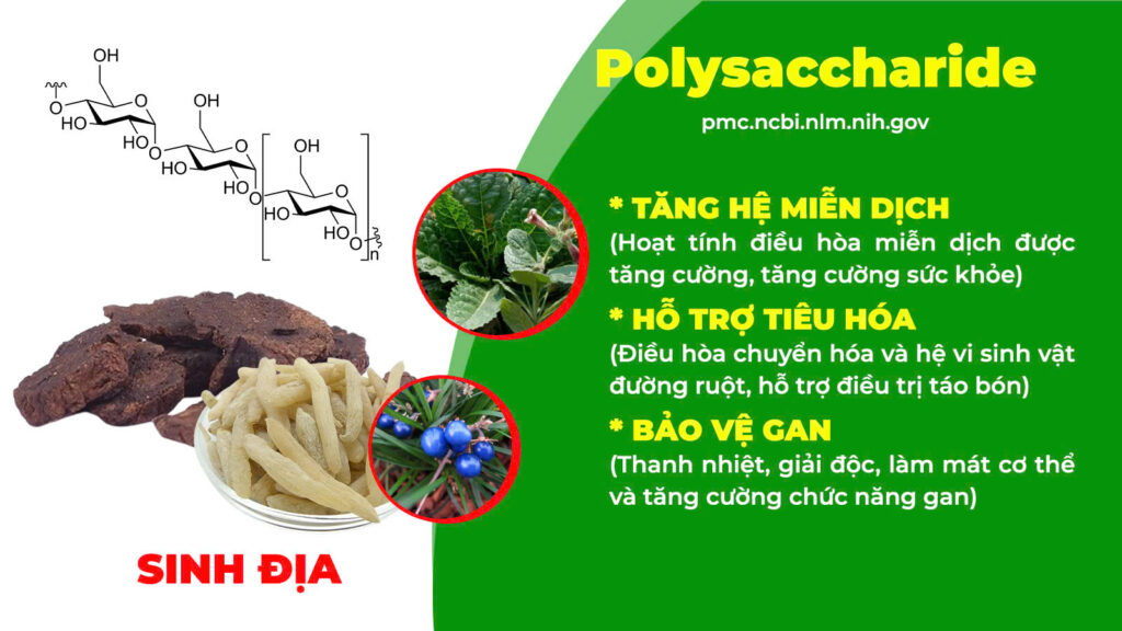 Thành phần hoá học nhuận trường 