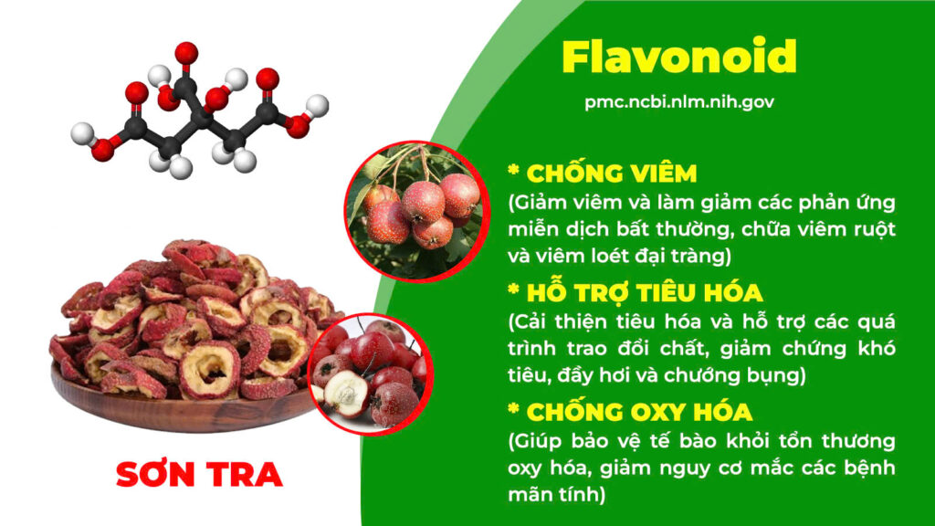 Thành phần hoá học nhuận trường 