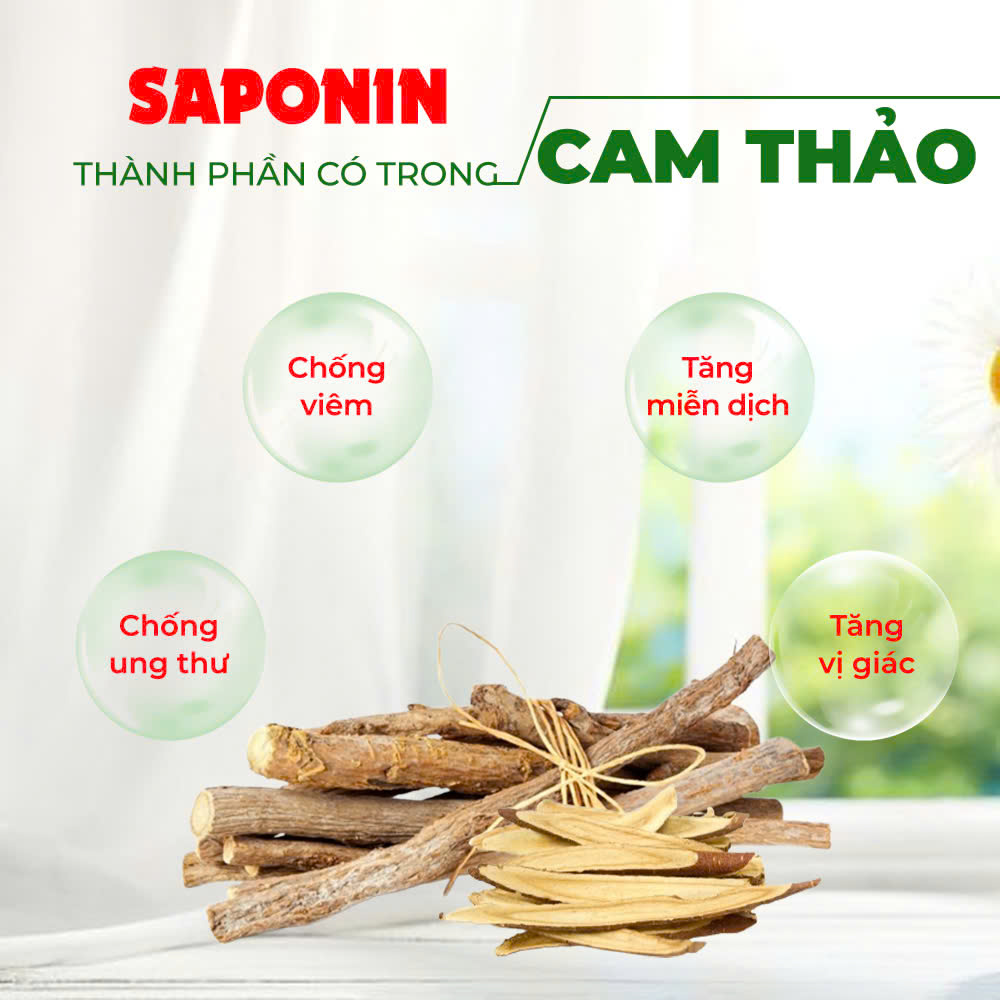 Bài thuốc gia truyền pqa thanh phế trà