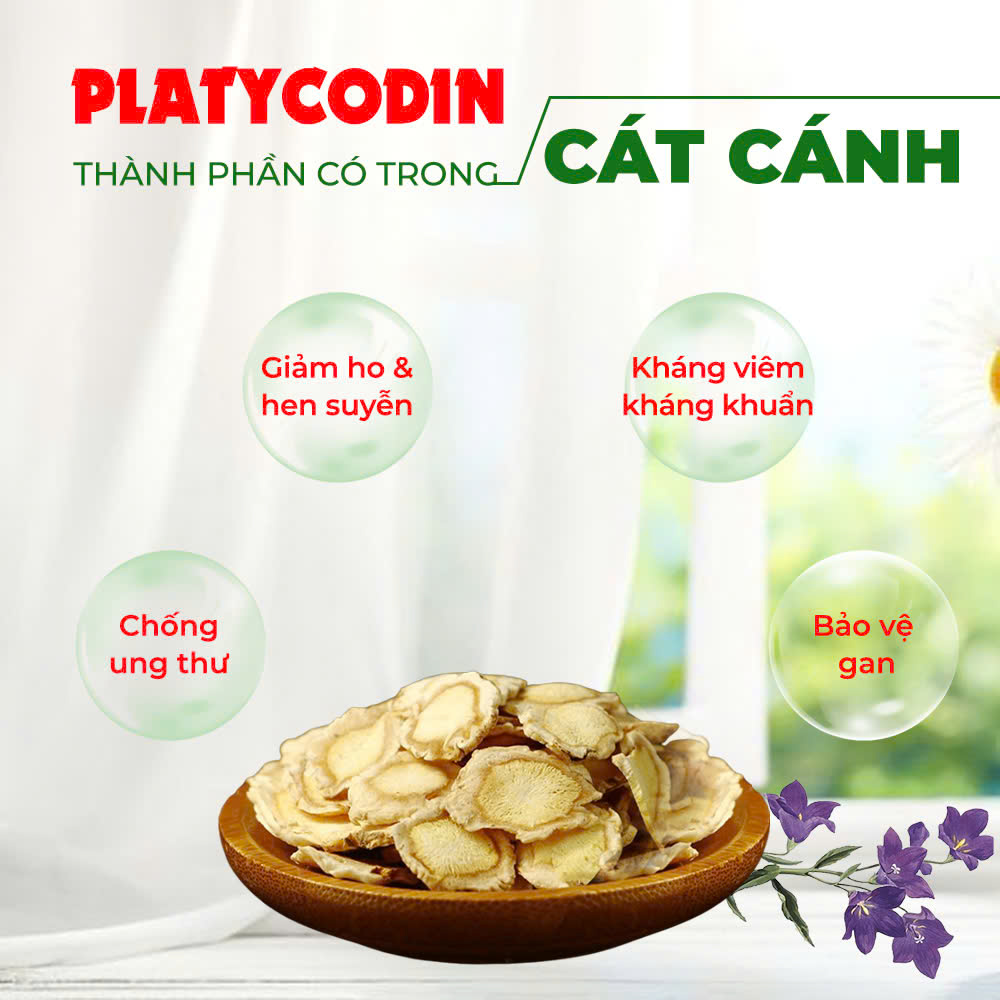Bài thuốc gia truyền pqa thanh phế trà