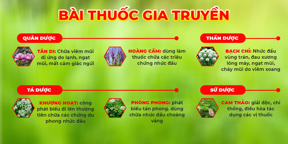 Bài thuốc Hoàng cầm