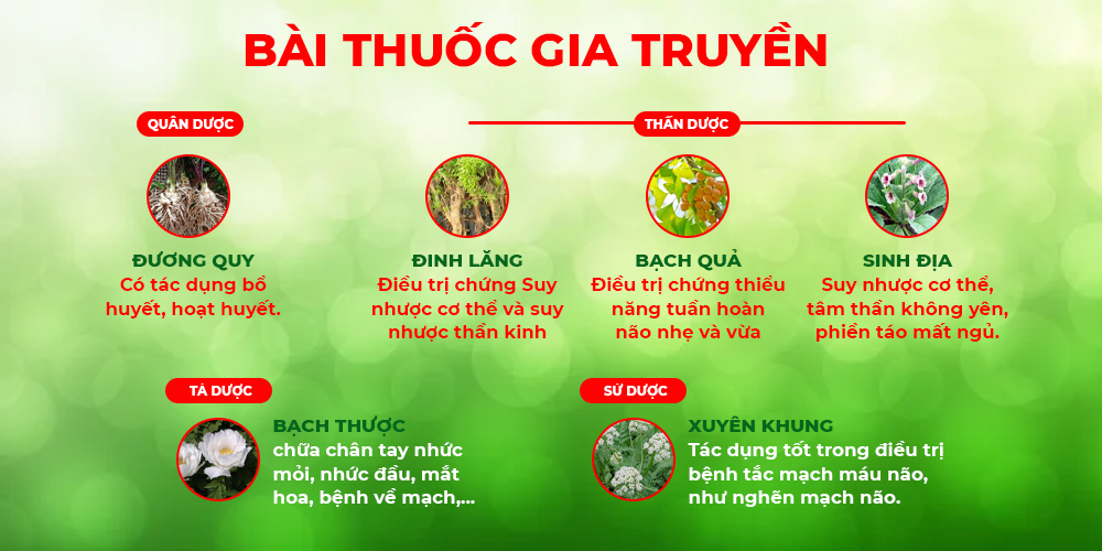 Bài thuốc hoạt huyết dưỡng não