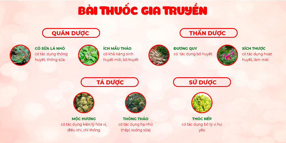 Bài thuốc PQA Cốm Lợi Sữa
