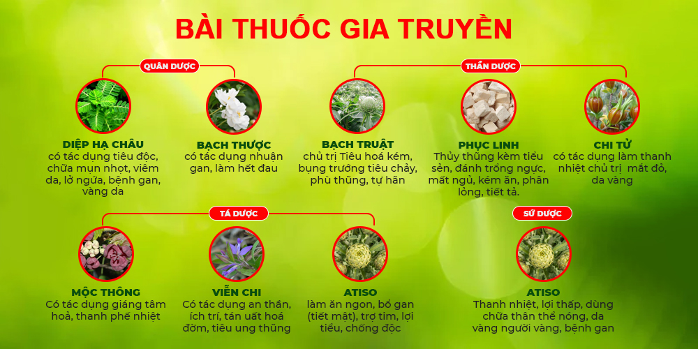 Bài thuốc PQA Mát Gan ống