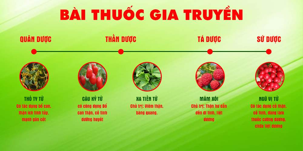 Bài thuốc PQA Thỏ Ty Tử