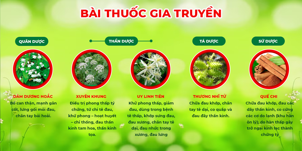 Bài thuốc PQA Xương Khớp 30v