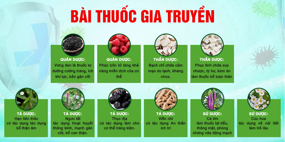 Bài thuốc PQA hỗ trợ tăng cường sức đề kháng