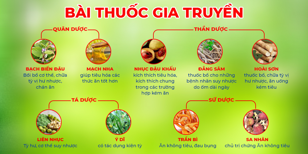 Bài thuốc PQA suy dinh dưỡng