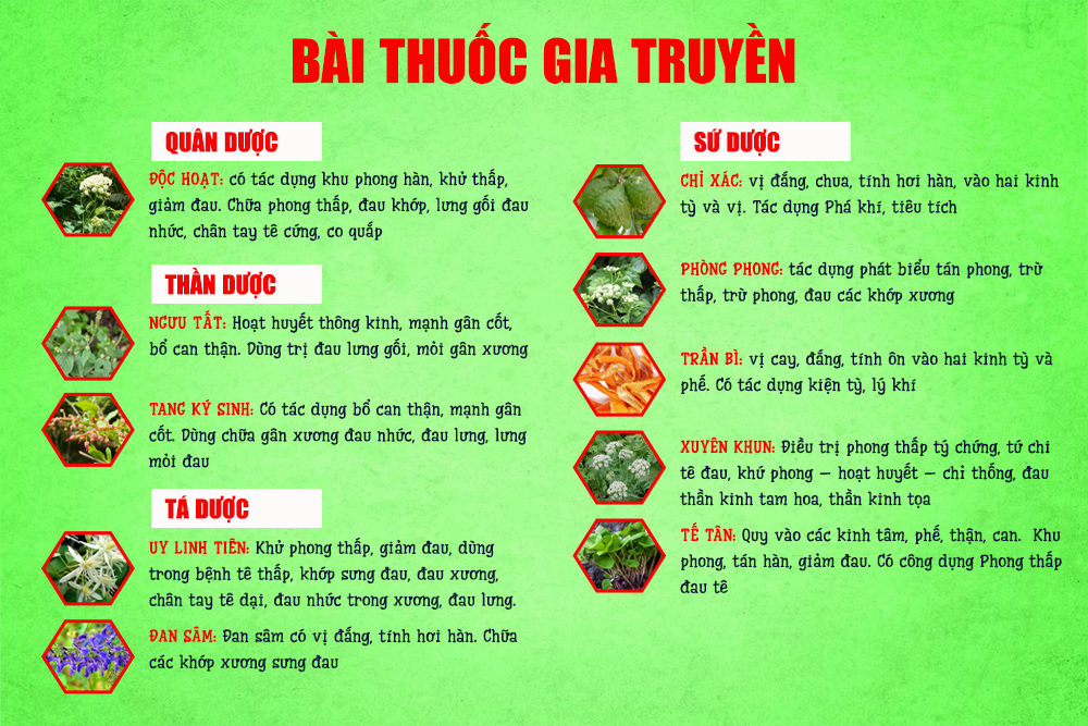Bài thuốc Phòng phong