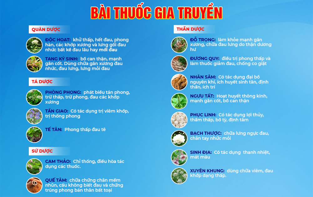 Bài thuốc Thoái Hóa Khớp