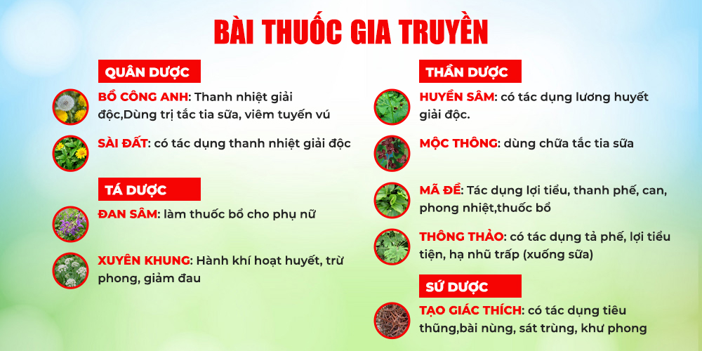 Bài thuốc Tia sữa