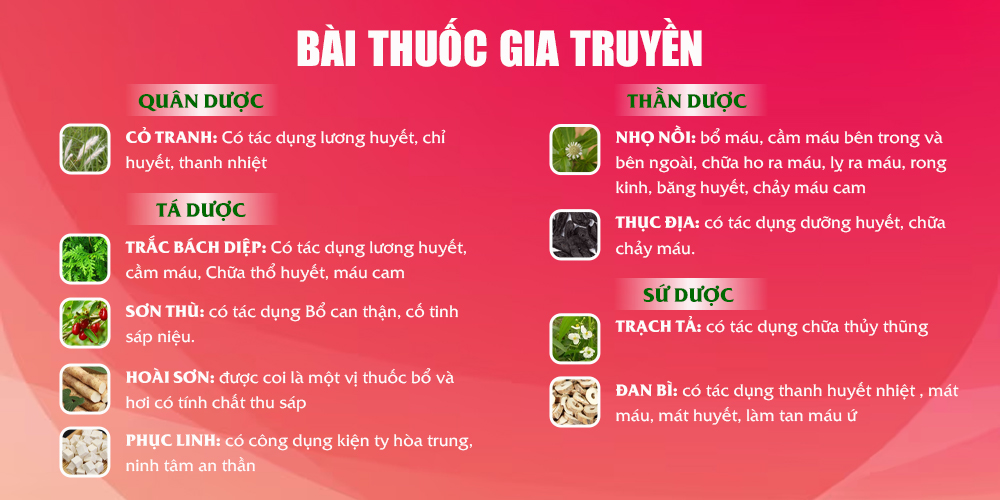 Bài thuốc Trắc Bách Diệp 