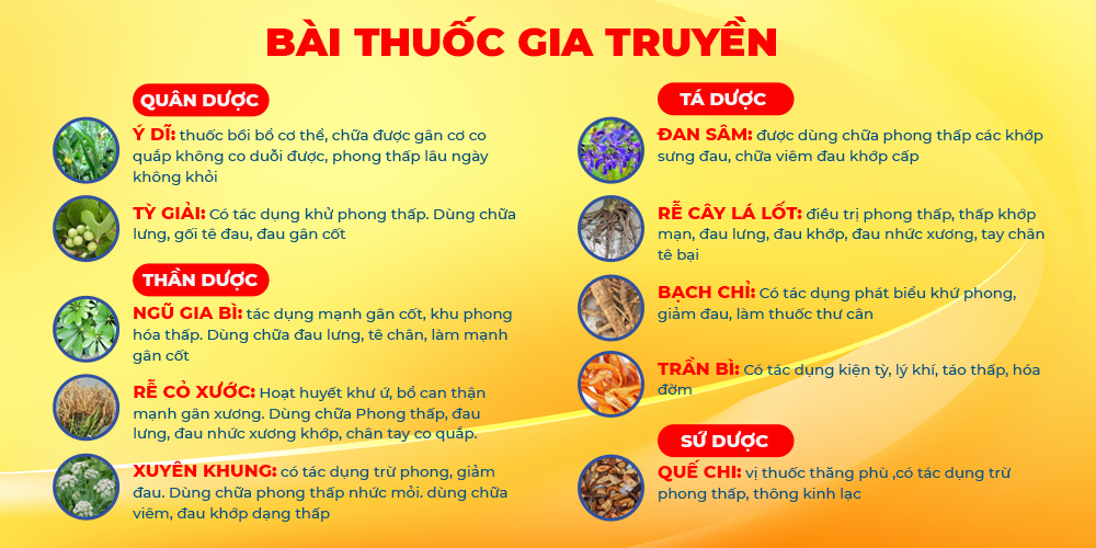 Bài thuốc Xuyên khung xương khớp