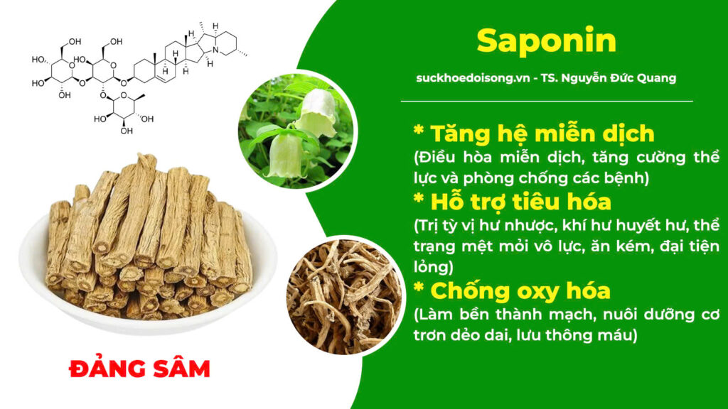 Thành phần hoá học kiện tỳ ích khí new 