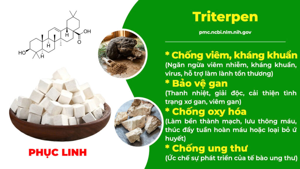 Thành phần hoá học kiện tỳ ích khí new 