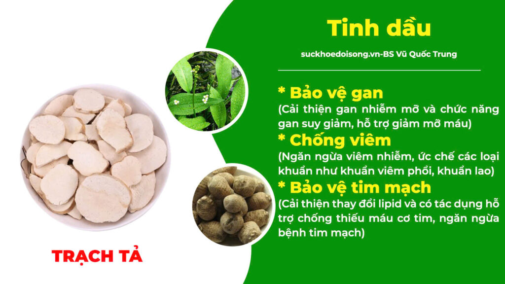 Thành phần hoá học kiện tỳ ích khí new 