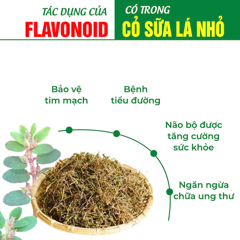 pqa lợi sữa