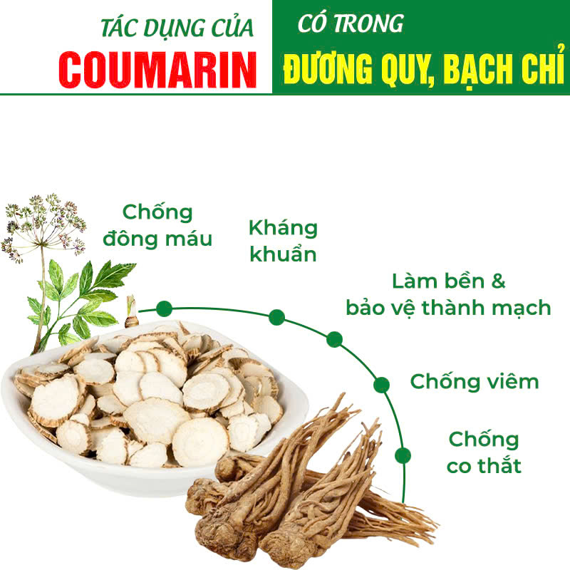 pqa lợi sữa