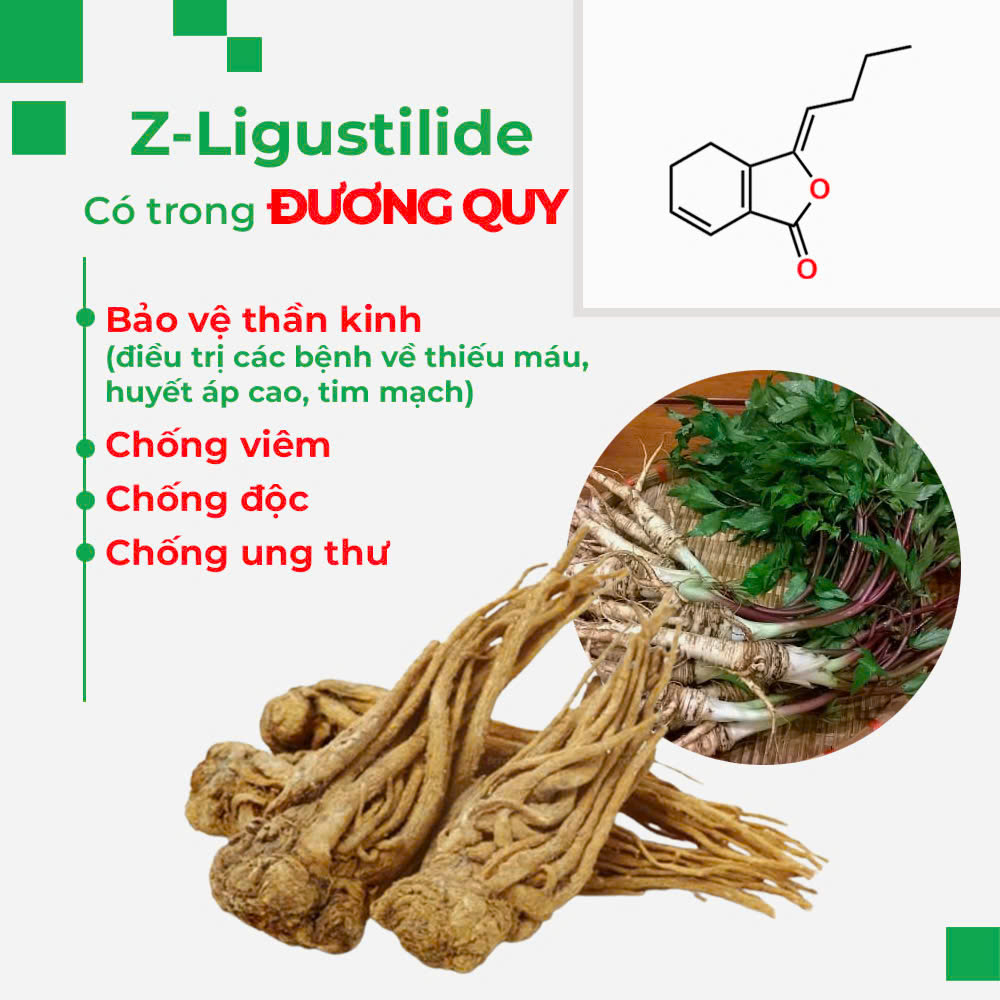 PQA Thăng dương khí