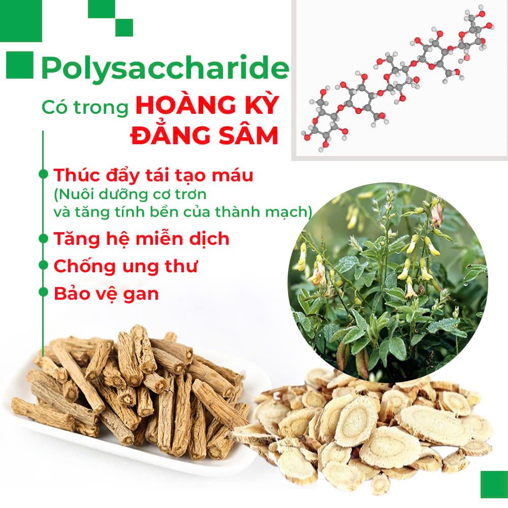 PQA Thăng dương khí