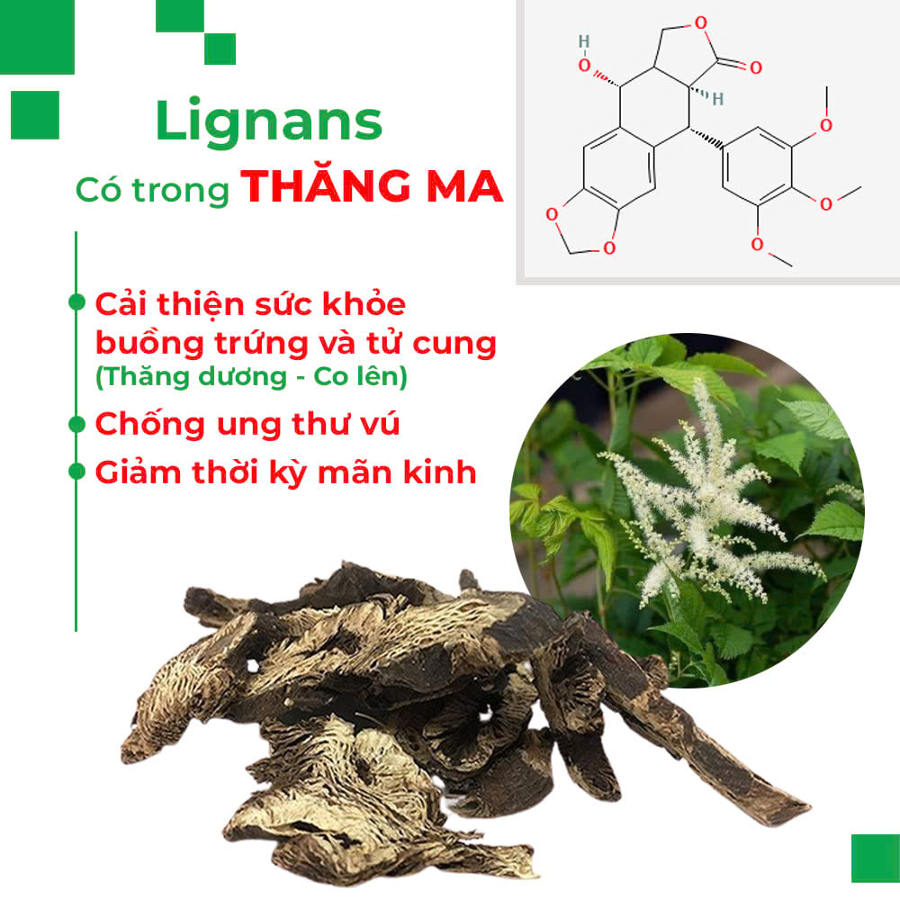 PQA Thăng dương khí