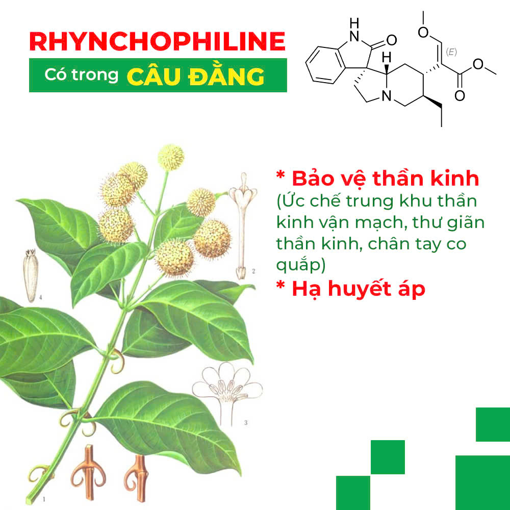 PQA thư cân