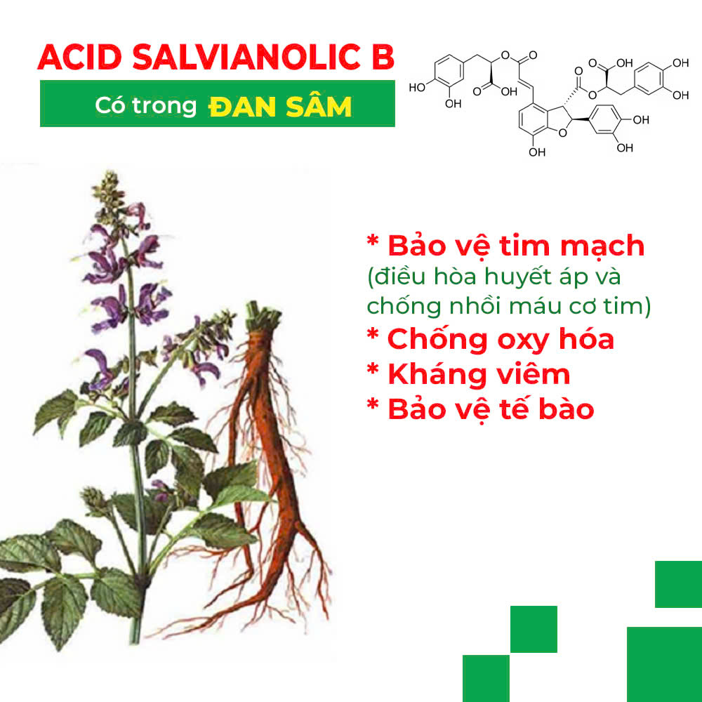 PQA thư cân