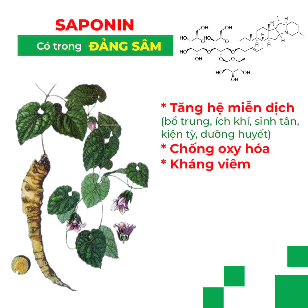 PQA thư cân