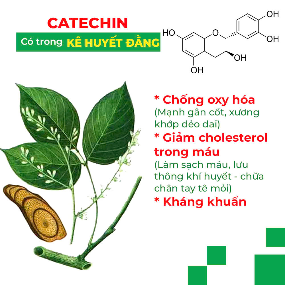 PQA thư cân