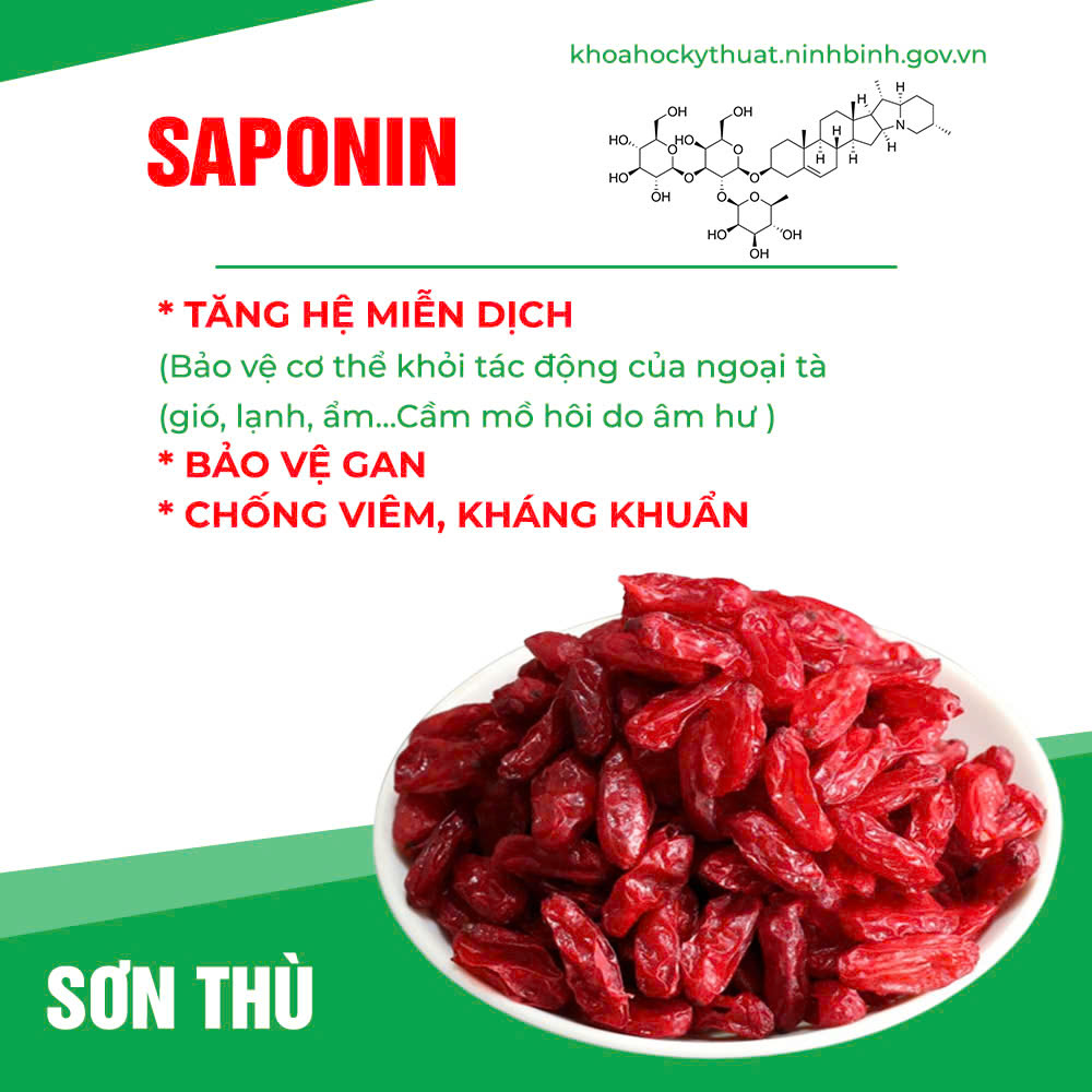 pqa bổ thận thủy