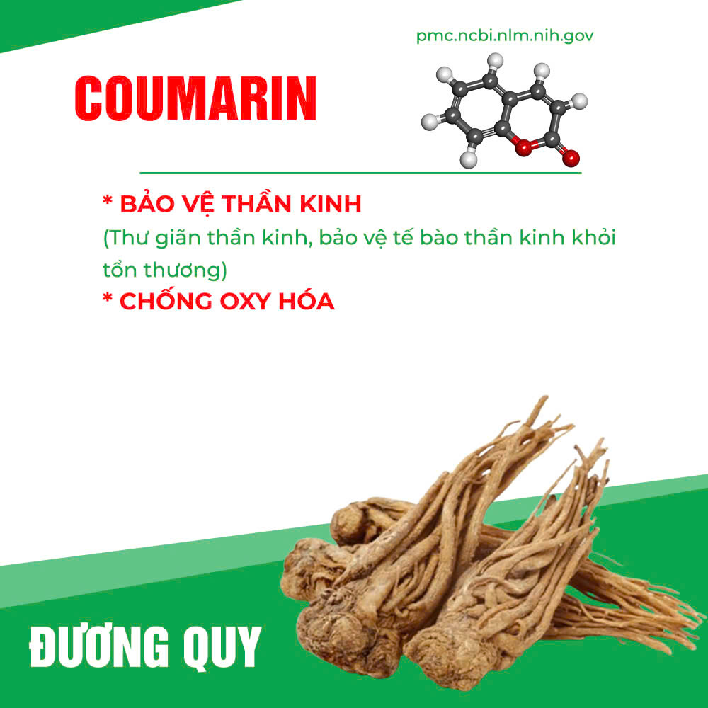 pqa bổ thận thủy