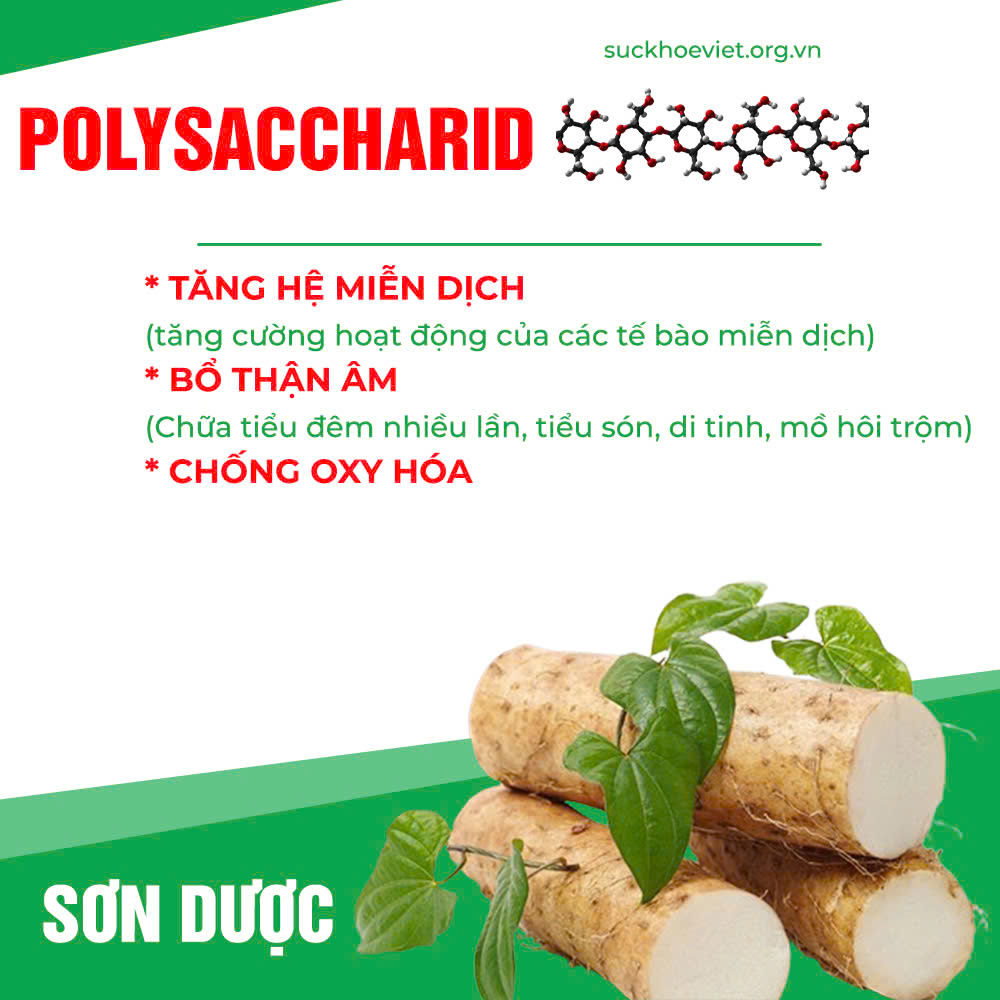 Thành phần hoá học