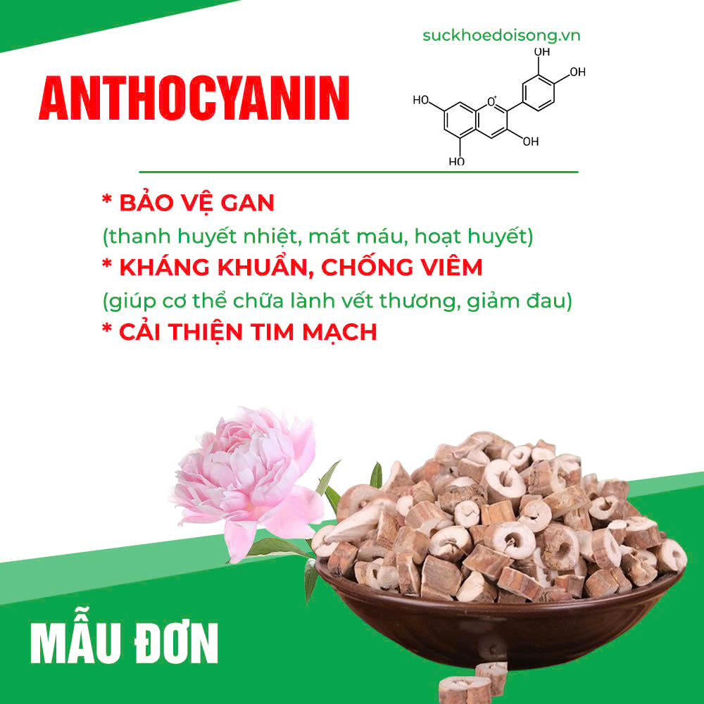 Thành phần hoá học