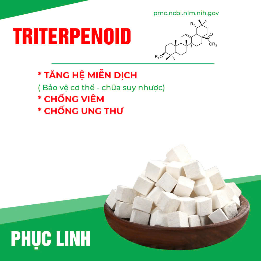 Thành phần hoá học