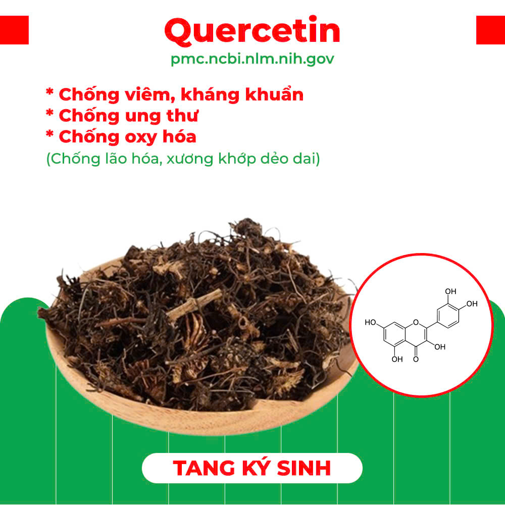 Thành phần hoá học