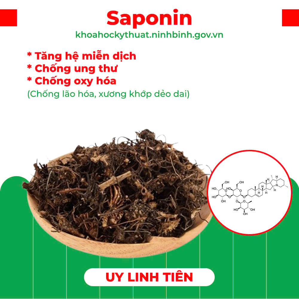 Thành phần hoá học