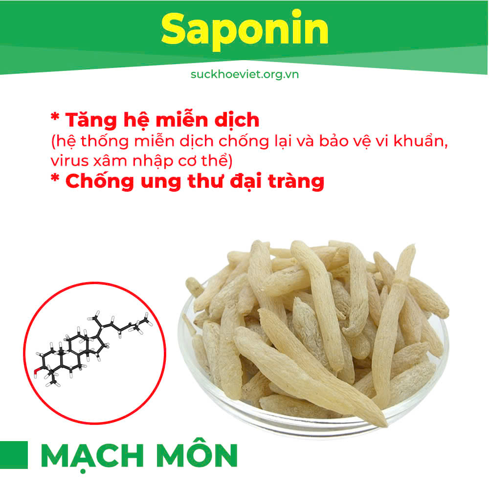Thành phần hoá học