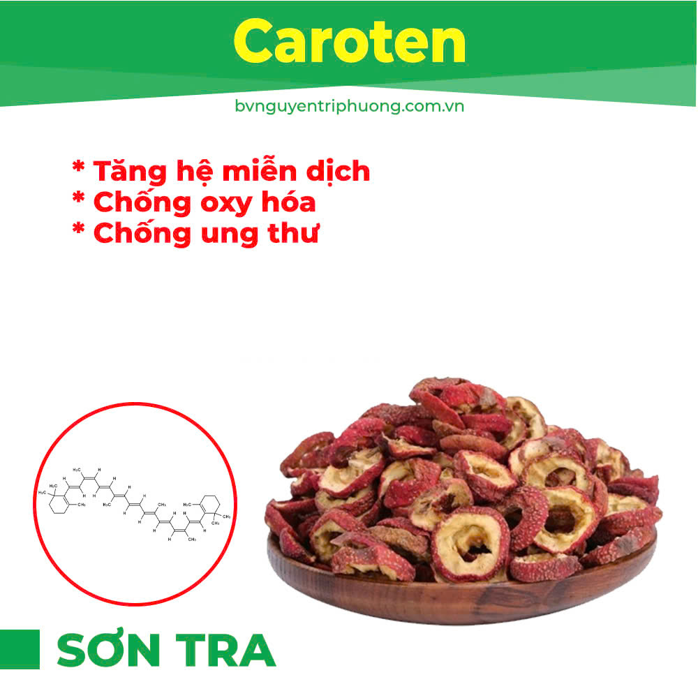 Thành phần hoá học