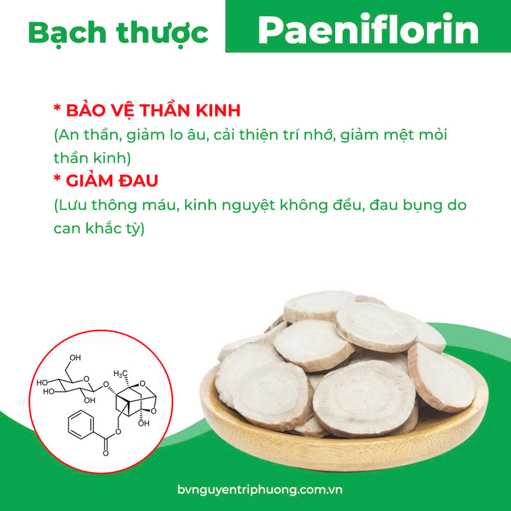 Thành Phần hoa học