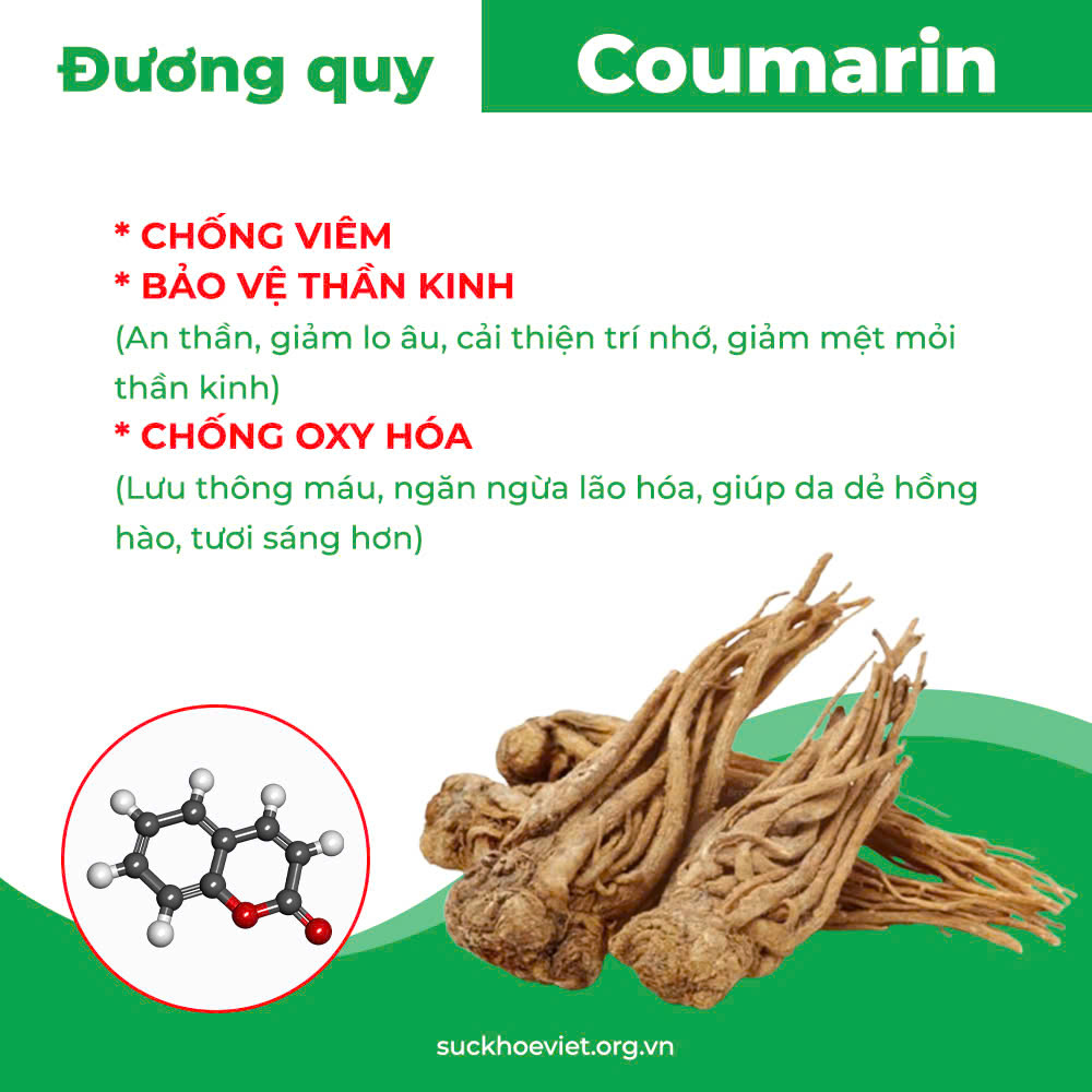 Thành Phần hoa học