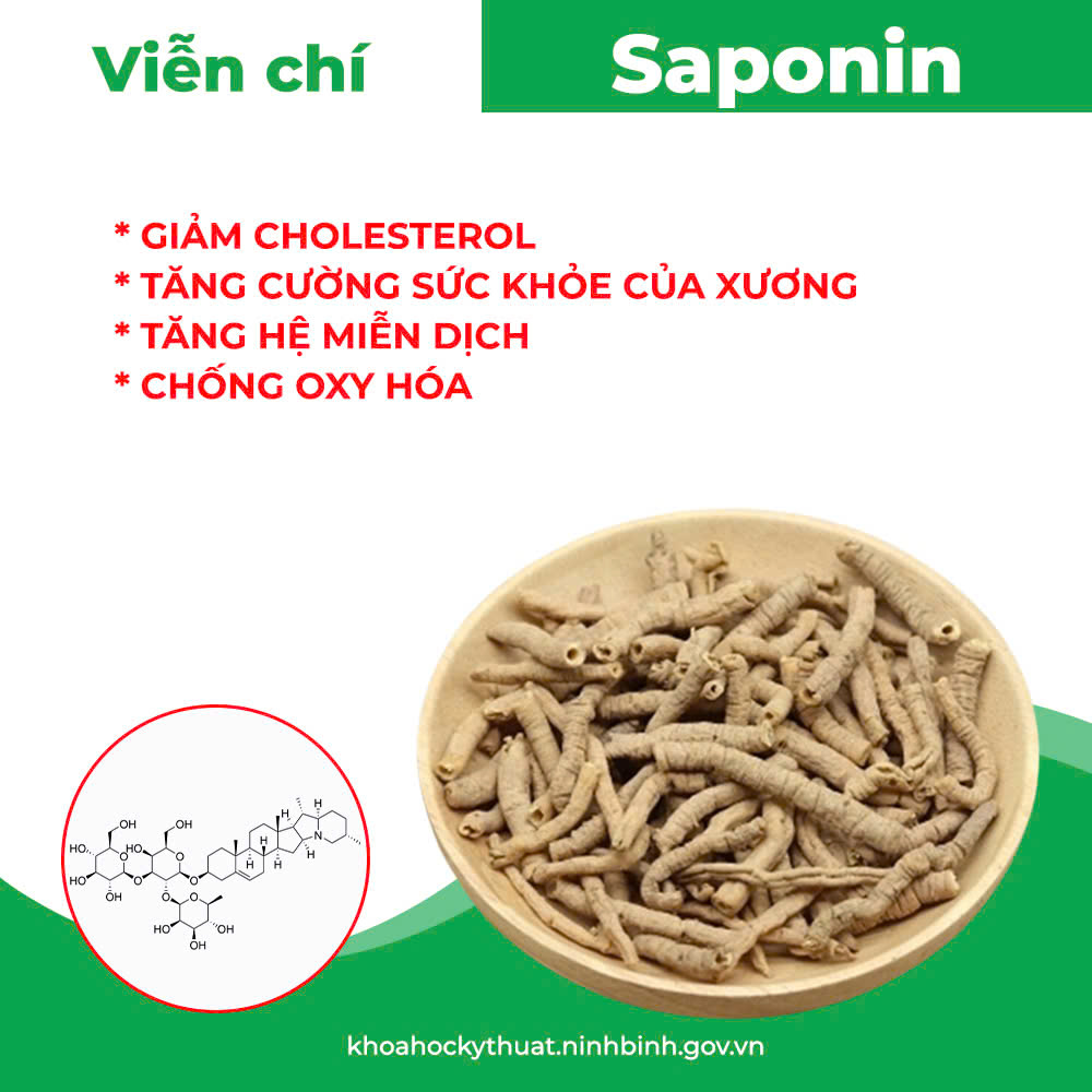 Thành Phần hoa học
