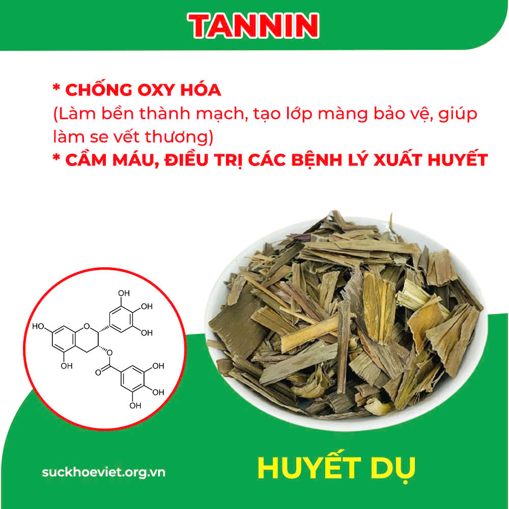 Thành Phần hoa học