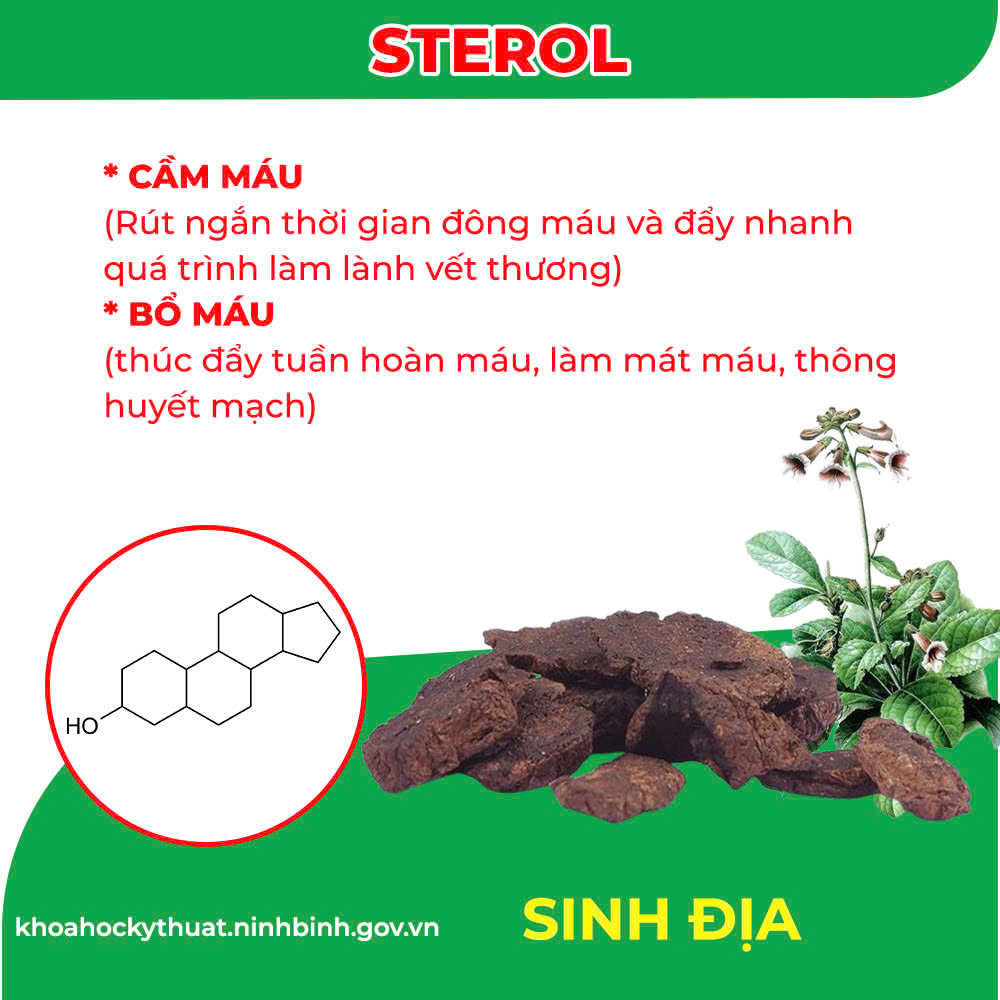 Thành Phần hoa học