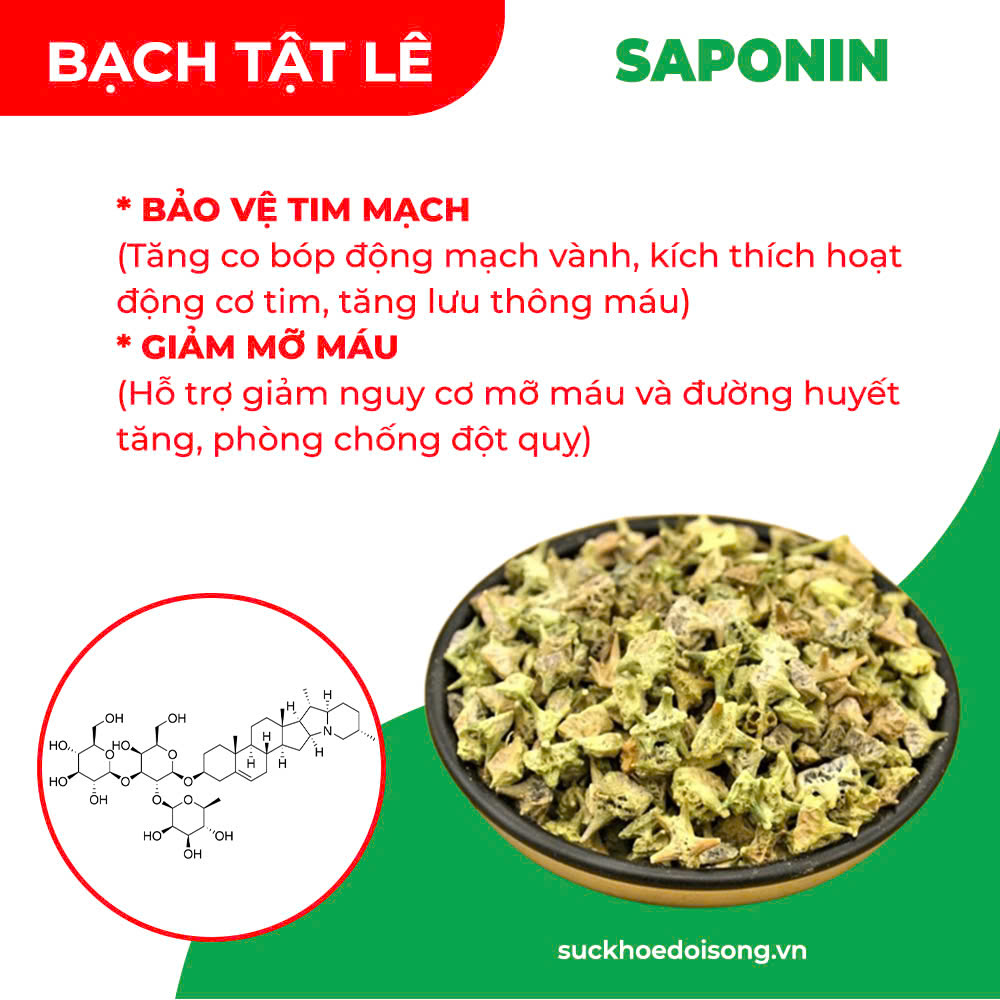 Thành phần hoá học