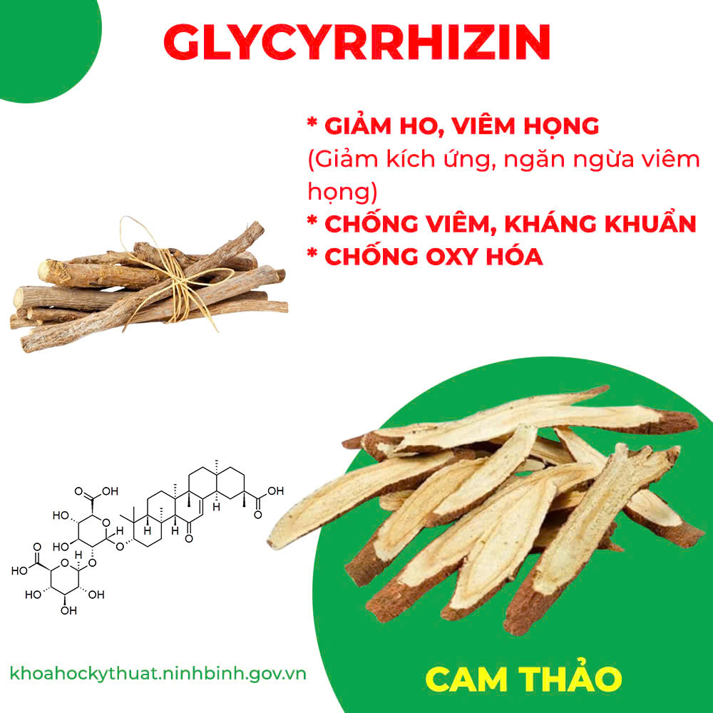 Thành phần hoá học