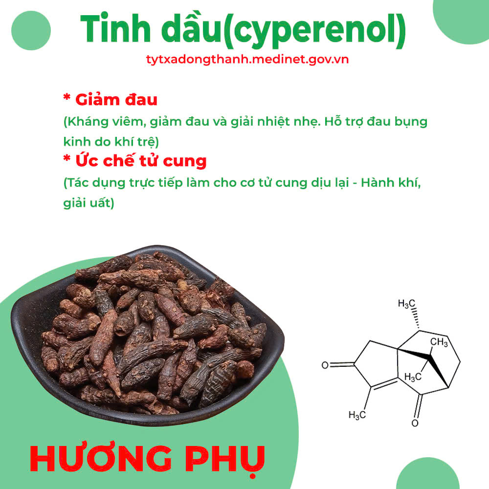 Thành phần hoá học