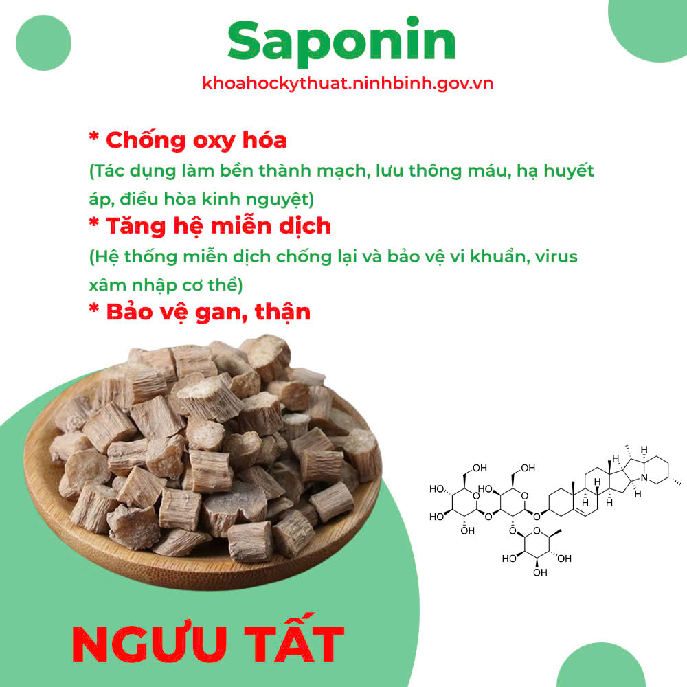 Thành phần hoá học