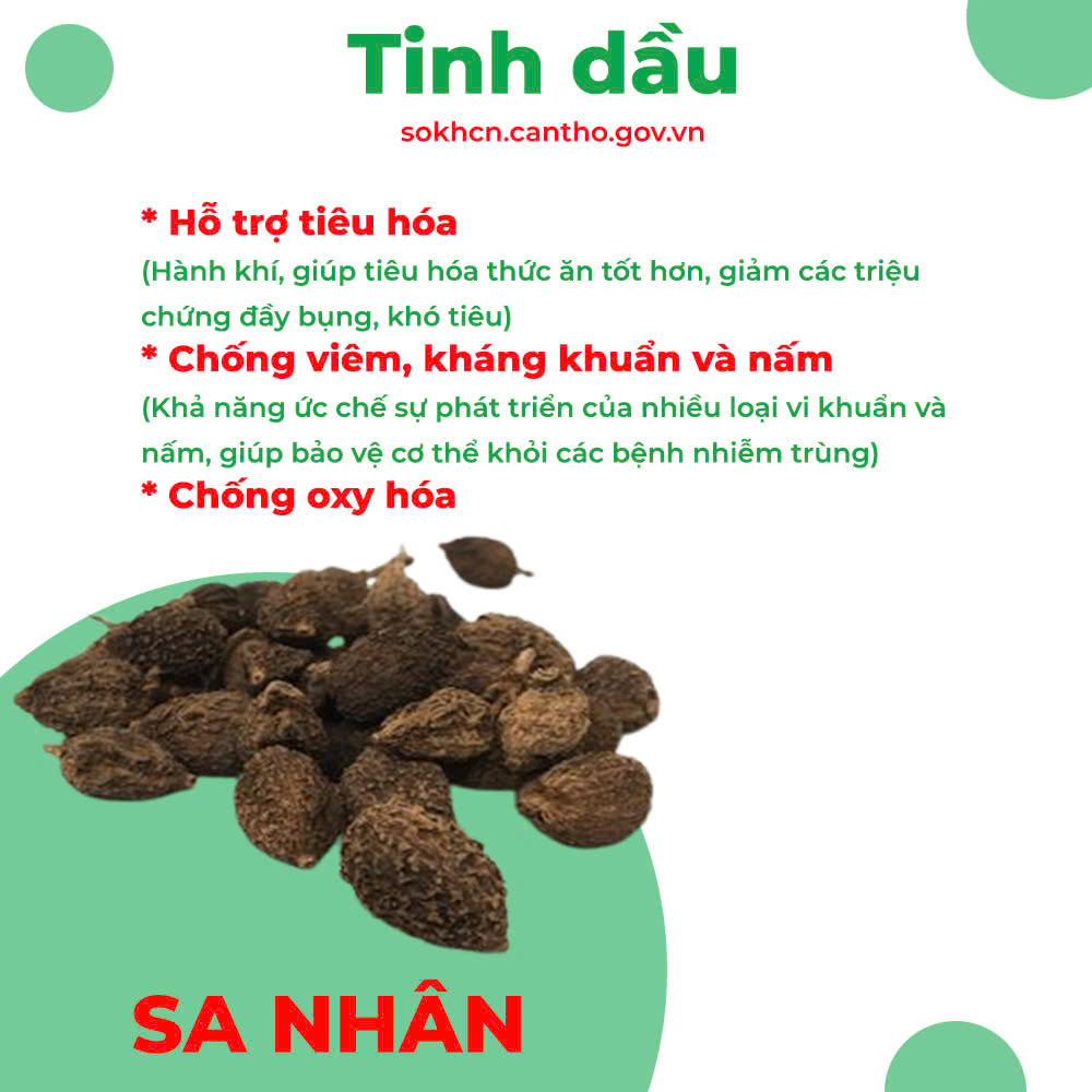 Thành phần hoá học