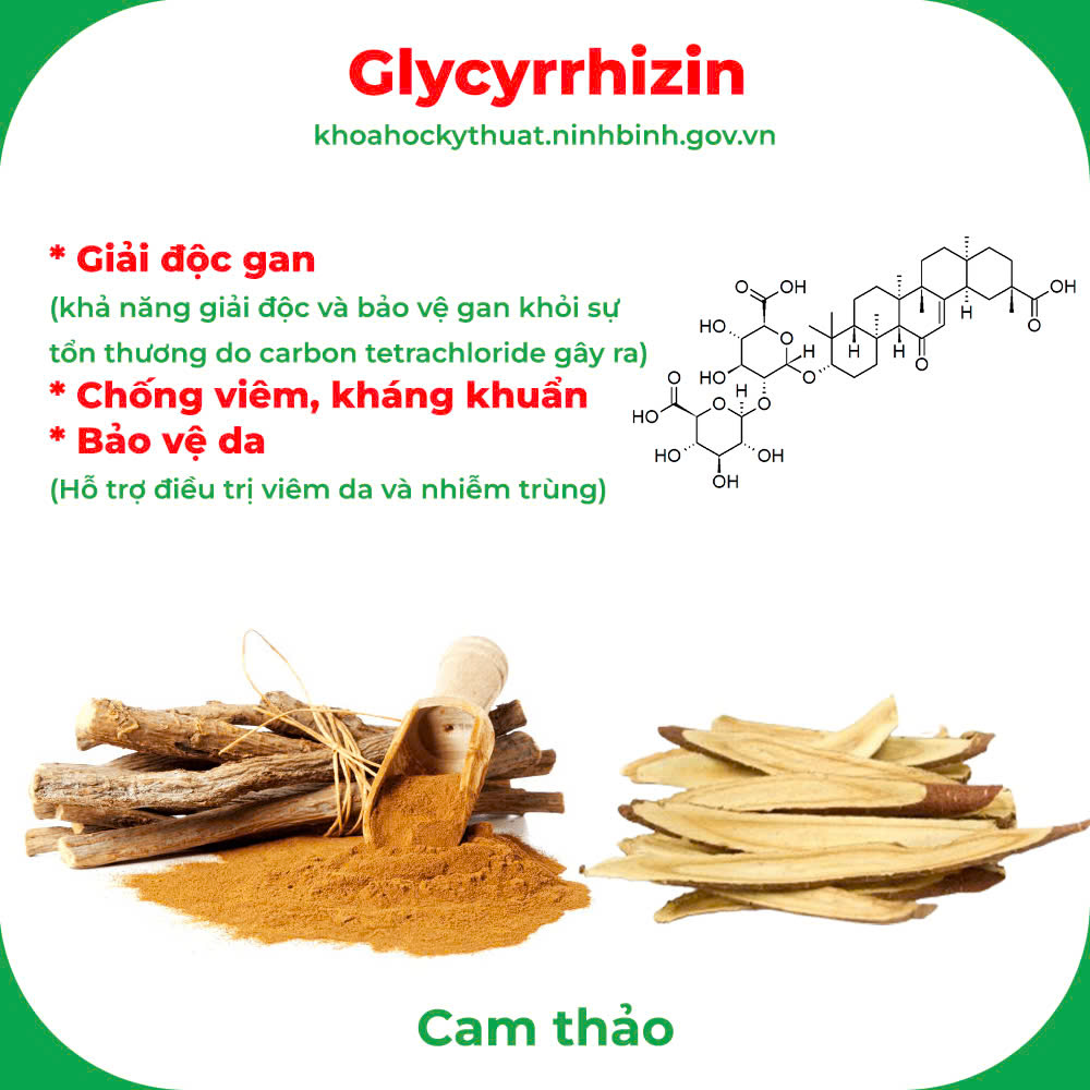 Thành phần hoá học